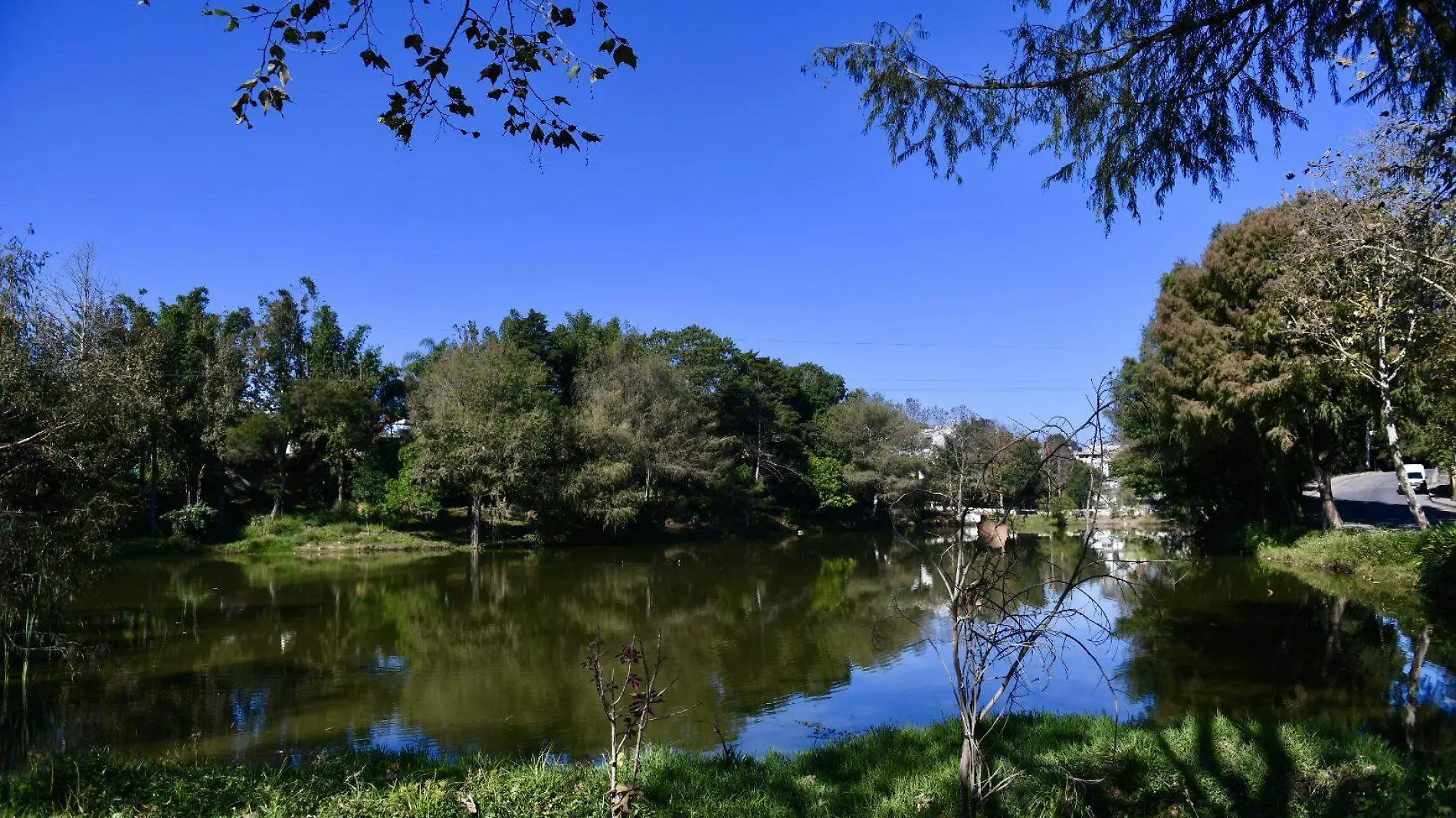 Laguna de Casa Blanca requiere atención integral, dicen vecinos 